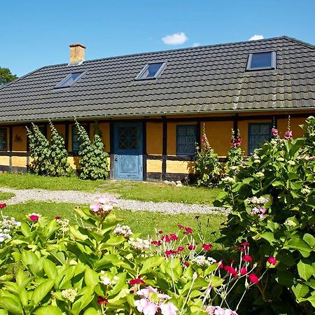 Mollegade 1 Holiday House นอร์บอร์ก ภายนอก รูปภาพ
