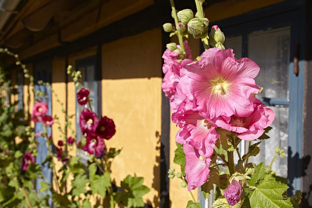 Mollegade 1 Holiday House นอร์บอร์ก ภายนอก รูปภาพ